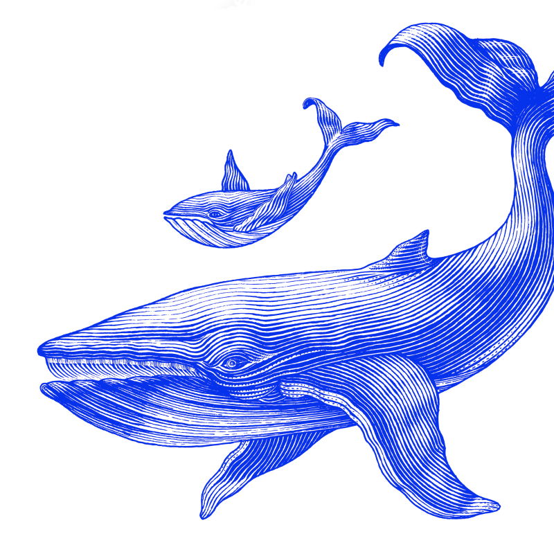 Reduce Overhead With Outsourced Compliance